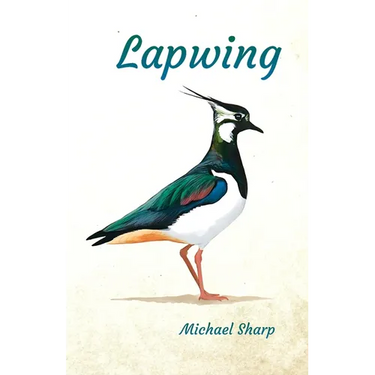 Lapwing