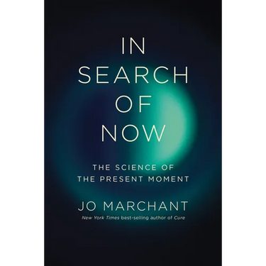 In Search of Now: The Science of the Present Moment
