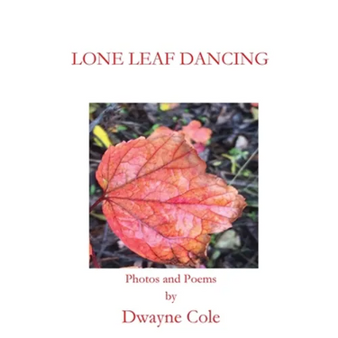 Lone Leaf Dancing