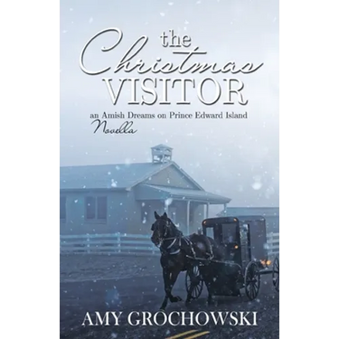 The Christmas Visitor