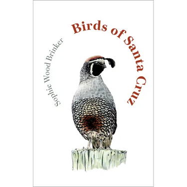 Birds of Santa Cruz