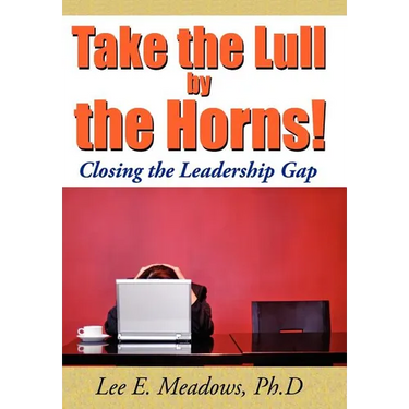 Take the Lull By the Horns!: Closing the Leadership Gap