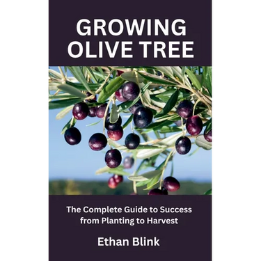 Growing Olive Tree: The Complete Guide to Success from Planting to Harvest