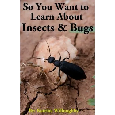 So You Want to Learn About Insects & Bugs