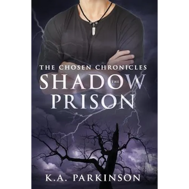 The Shadow Prison