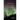 Aurora: Poemas y Calaveras
