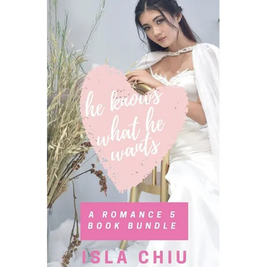 He Knows What He Wants: A Romance 5 Book Bundle