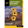Canyon Country Wildflowers