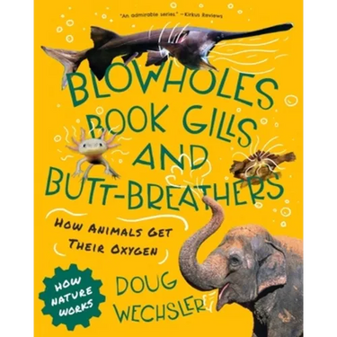 Blowholes, Book Gills, and Butt-Breathers: How Animals Get Their Oxygen