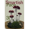 Smartish Pace: Issue 30