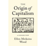 The Origin of Capitalism: A Longer View