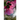 Whispering Petals