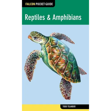Reptiles & Amphibians