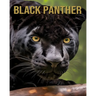 Black Panther: Amazing Picture and Facts About Black Panther for Children's