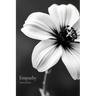 Empathy