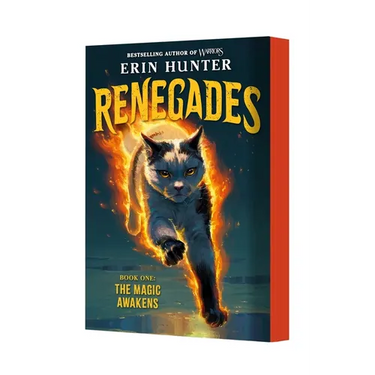 Renegades #1: The Magic Awakens