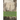 The Castle of Otranto