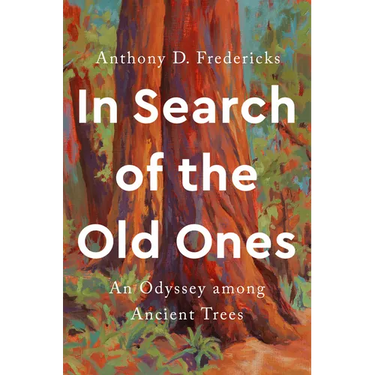 In Search of the Old Ones: An Odyssey Among Ancient Trees