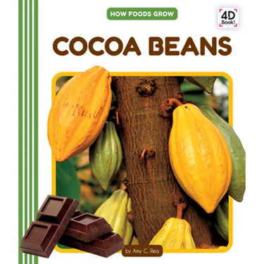 Cocoa Beans
