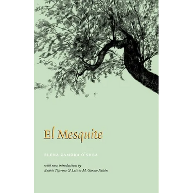 El Mesquite: A Story of the Early Spanish Settlements Between the Nueces and the Rio Grande