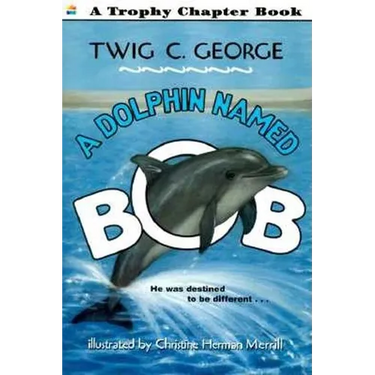 A Dolphin Named Bob