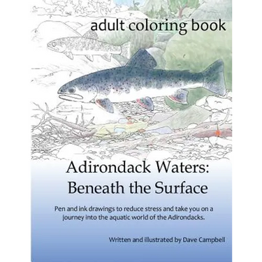Adirondack Waters: Beneath the Surface