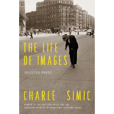 The Life of Images: Selected Prose