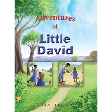 Adventures of Little David