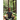 Fuel Minds: Phase 5: Breathing Exercises for Mental Clarity