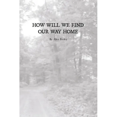 How Will We Find Our Way Home
