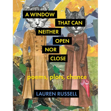 A Window That Can Neither Open Nor Close: Poems, Plots, Chance