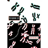 Refiguring Life: Metaphors of Twentieth-Century Biology