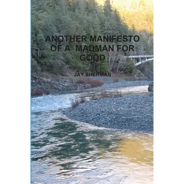 Another Manifesto of a Madman for Good