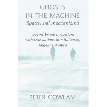 Ghosts in the Machine