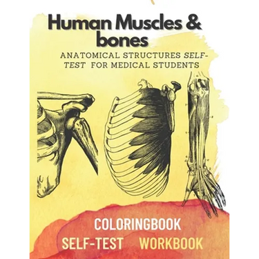 Human muscles & bones: Anatomical structures self-test for medical students