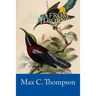 Birds from North Borneo