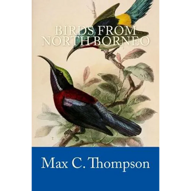 Birds from North Borneo