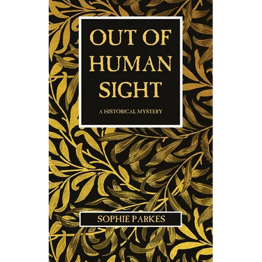 Out of Human Sight: A Historical Mystery