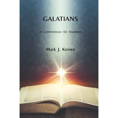 Galatians: A Commentary for Students