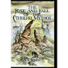 The Rise and Fall of the Cthulhu Mythos
