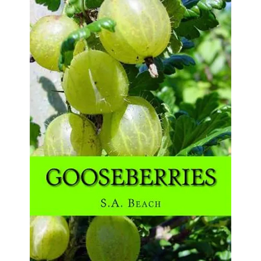 Gooseberries