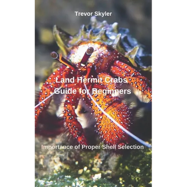 Land Hermit Crabs Guide for Beginners: Importance of Proper Shell Selection