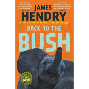 Back to the Bush