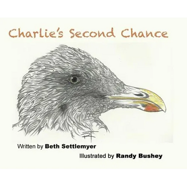 Charlie's Second Chance