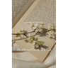 The Ethereal Poetry Of Words