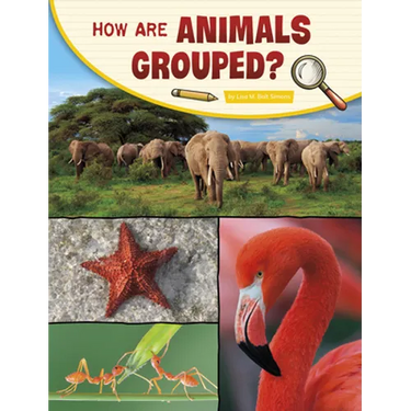 How Are Animals Grouped?