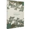 Ephemera: A Memoir