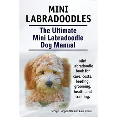 Mini Labradoodles. The Ultimate Mini Labradoodle Dog Manual. Miniature Labradoodle book for care, costs, feeding, grooming, health and training.