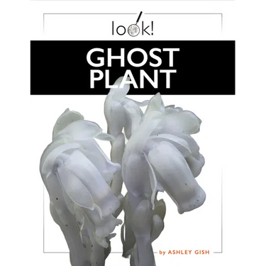 Ghost Plant