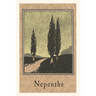 The Vintage Journal Cypresses, Nepenthe, California